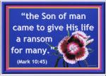 The Son Of Man Came